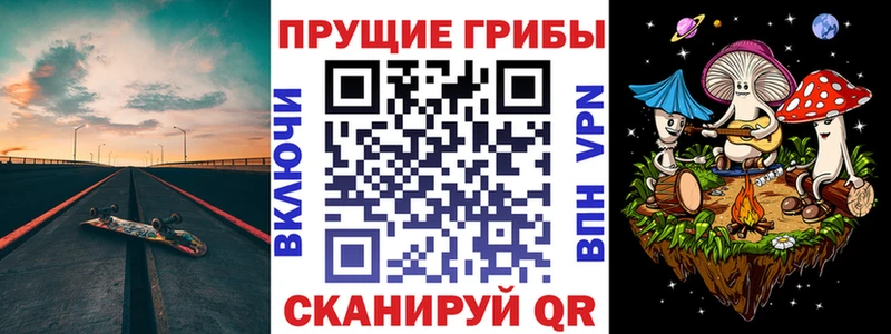 Псилоцибиновые грибы GOLDEN TEACHER  Купить закладки  Южно-Сахалинск 